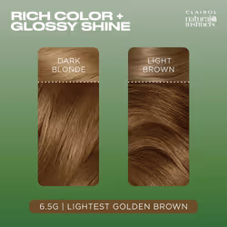 Clairol Natural Instincts Demi-Permanent Hair Dye  6.5G Lightest Golden Brown Hair Color  Pack of 1