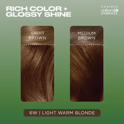Clairol Natural Instincts Demi-Permanent Hair Dye  6W Light Warm Brown Hair Color  Pack of 3