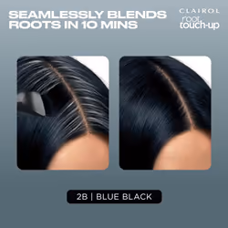 Clairol Root Touch-Up by Nice'n Easy Permanent Hair Dye  2B Blue Black Hair Color  Pack of 1
