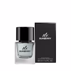 Mr Burberry eau de toilette vapor 50 ml