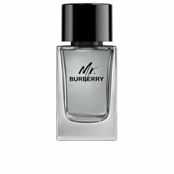 Mr Burberry eau de toilette spray 100 ml