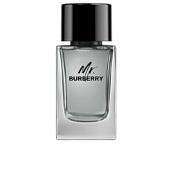 Mr Burberry eau de toilette spray 100 ml