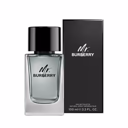 Mr Burberry eau de toilette spray 100 ml
