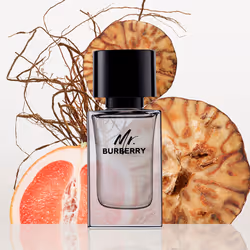 Mr Burberry eau de toilette spray 100 ml