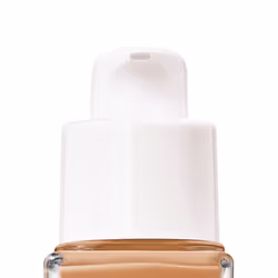 Teint Idole Ultra Wear care & glow #450W