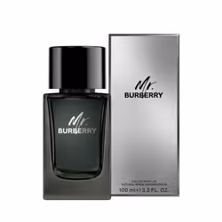 MR. Burberry eau de parfum vapor 100 ml