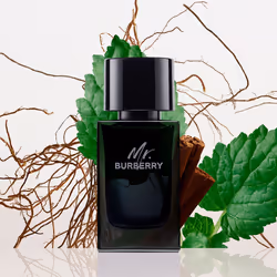 MR. Burberry eau de parfum vapor 100 ml
