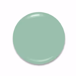 Rimmel 60 seconds Supershine 154 Shell Yeah!!