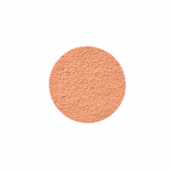 Healthy Mix poudre naturel #06-honey
