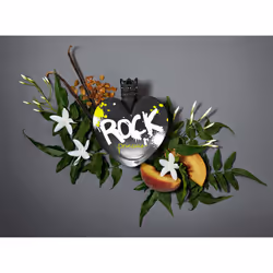 Vera Wang Rock Princess Eau de Toilette for Women 1.7 Fl Oz