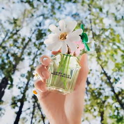 Daisy Wild eau de parfum spray 50 ml