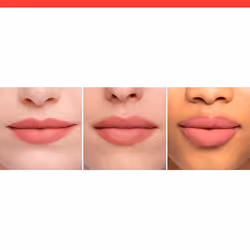 French Riviera rouge à lèvres the lipstick #13-nohalicious
