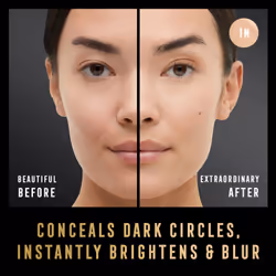 Max Factor Facefinity Multi-Perfector Concealer 1N