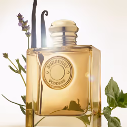 Burberry Goddess Eau de Parfum Intense for Women Refill 150ml