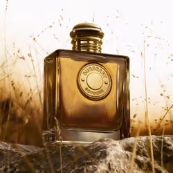 Burberry Goddess Parfum For Her - 50 ml - Additional view 4