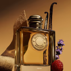Burberry Goddess Parfum For Her Refill - 150 ml - Additional view 3