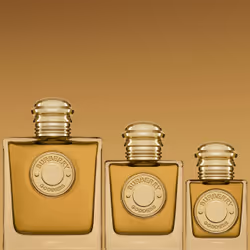 Burberry Goddess Parfum For Her Refill - 150 ml - Additional view 6