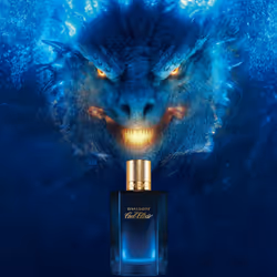 Davidoff Cool Elixir Uomo Eau De Parfum 50ml - Additional view 4