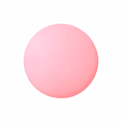 Bourjois Petite Boîte Ronde blush 17 Powder - Additional view 3
