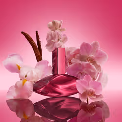 Calvin Klein Euphoria Magnetic Elixir Parfum Intense for Women 50 ml - Additional view 3