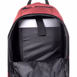 Element Large 30L Burgundy Mohave Skate Backpack