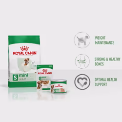 Royal Canin Mini Adult 4kg Dry Dog Food