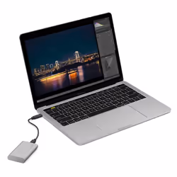 LaCie STKS1000400 external solid state drive Thunderbolt technology 1 TB USB Type-C 3.2 Gen 2 (3.1 Gen 2) Silver - Additional view 4