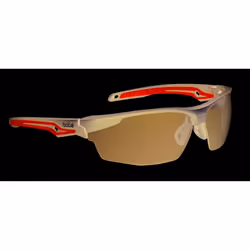 Bolle TRYON TRYOPSF Safety Glasses Spectacles Smoke Lens