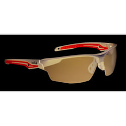 Bolle TRYON TRYOPSF Safety Glasses Spectacles Smoke Lens