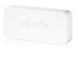 Somfy 2401487 - IntelliTAG | Self-protection vibration and opening detectors for indoor or outdoor use | Triggered before burglary | Compatible with ONE (+) & Home Alarm