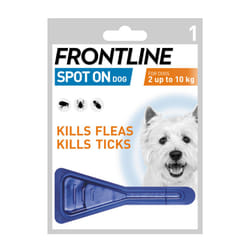 Frontline Spot On Small Dog 2-10kg 1 Pipette