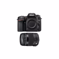 NIKON D7500 + SIGMA 18-200mm F3.5-6.3 DC Macro OS HSM - NIKON