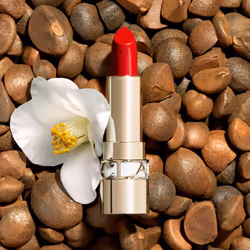 Clarins Joli Rouge 3.5 g 742 - Additional view 5