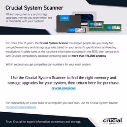 Crucial BX500 240 GB CT240BX500SSD1-Up to 540 MB/s (Internal SSD, 3D NAND, SATA, 2.5 Inch), Black