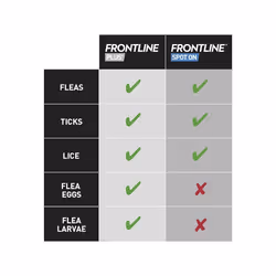 Frontline Spot On Cat 6 Pipettes