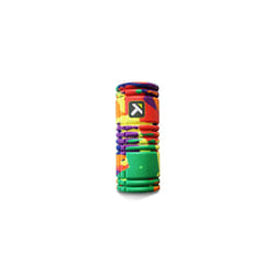 Grid Foam Roller - Multi-Density Exterior, Rigid Core - Trusted by Therapists and Athletes - Standard Density, Includes Online Instructional Videos,