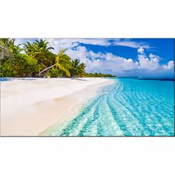 Vestel WY55B-2H, Digital signage flat panel, 139.7 cm (55"), 1920 x 1080 pixels, Wi-Fi