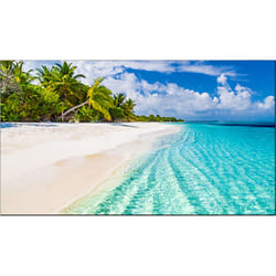 Vestel WY55B-2H Signage Display Digital signage flat panel 139.7 cm (55") Wi-Fi 500 cd/m² 4K Ultra HD Black