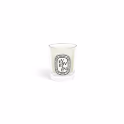 Diptyque Verveine 6.5 Candle