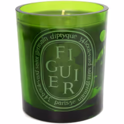 Diptyque Figuier Verte (Fig Green) Large Candle, 300g