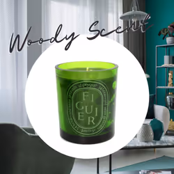 Diptyque Figuier Verte (Fig Green) Large Candle, 300g