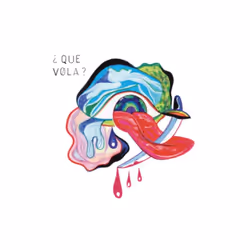 Fidel Fourneyron >Ã¢ÂÂ¬Ã¢ÂÂ Que Vola ? >Vinyl