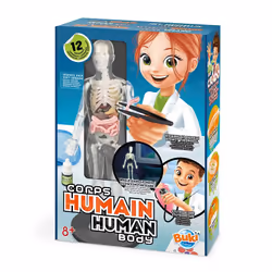 Buki Human Body, Experiment kit, Anatomy, 8 yr(s), Multicolour