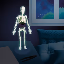 Buki Human Body