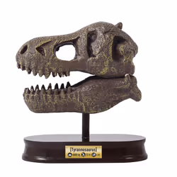 Buki Museum Dino Skull Tyrannosaurus - Additional view 6