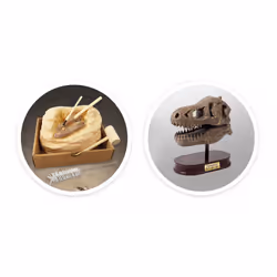 Buki Museum Dino Skull Tyrannosaurus - Additional view 8