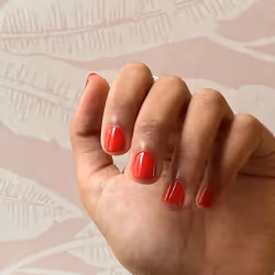 All Tigers Nail lacquer 206 Earn Your Stripes 11 ml