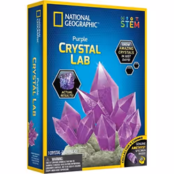 Crystal Growing Kit for Kids - Educational Science Kits for Kids Age 8+ with Dazzling Purple Crystals and Authentic Amethyst ...