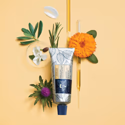 Phyto 7 nourishing day cream 50 ml