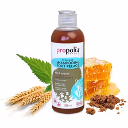 Propolia All coat-type shampoo